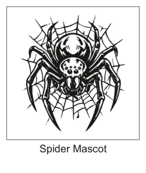 Black tarantula spider tattoo on an intricate radial web background